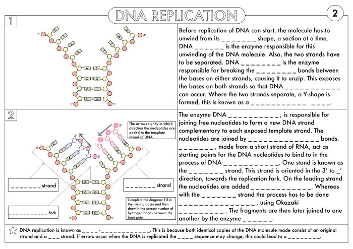 Protein synthesis answer key worksheet