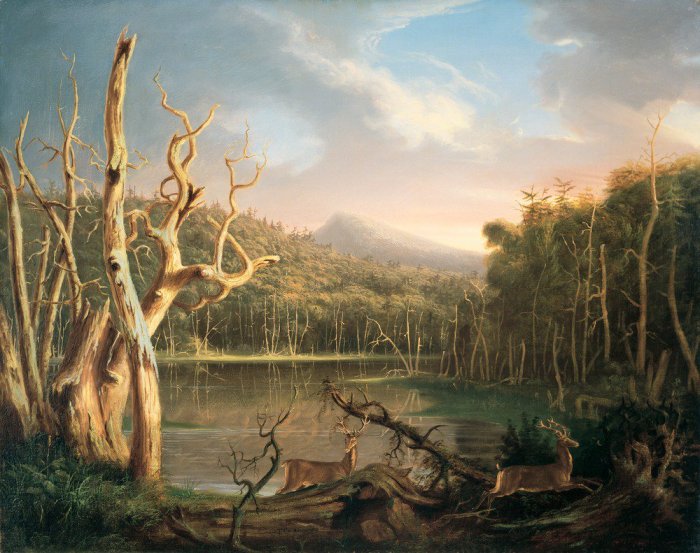 Thomas cole essay on american scenery