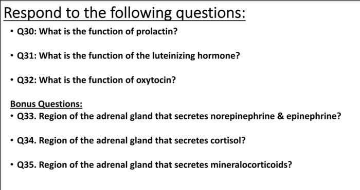 Endocrine system exam questions pdf