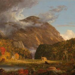 Thomas cole essay on american scenery