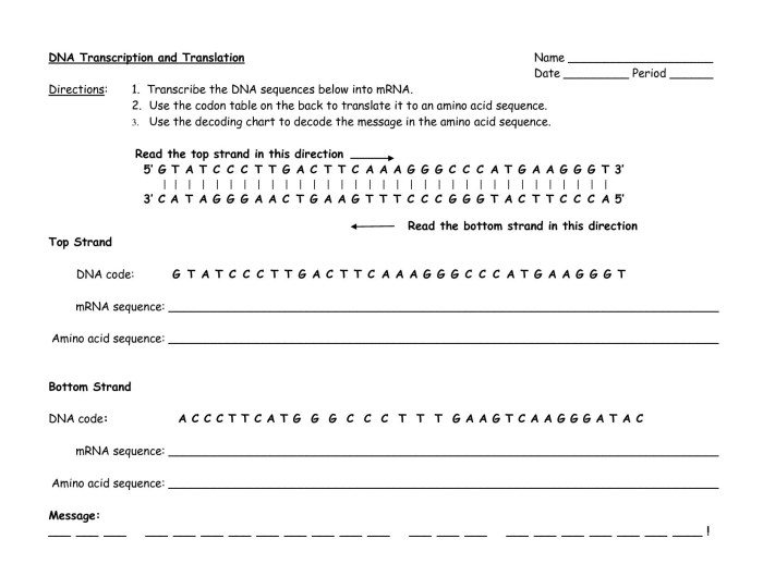 Protein synthesis answer key worksheet