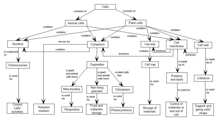 Eukaryotic cell components concept map