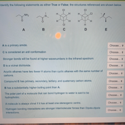 Identify the true and false statements about beanpole family structures.