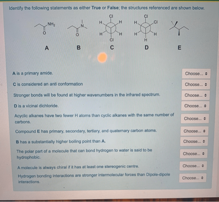 Identify the true and false statements about beanpole family structures.