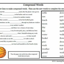 State federal tug of war worksheet answer key