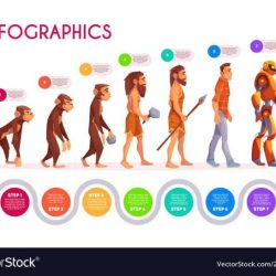 Student exploration human evolution - skull analysis